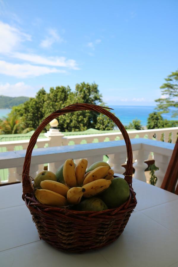 Seychelles Yellow Petals Anse Boileau Extérieur photo